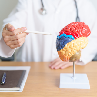 2024 EEH Stroke Quarterly Education - Q1 to Q3 Banner